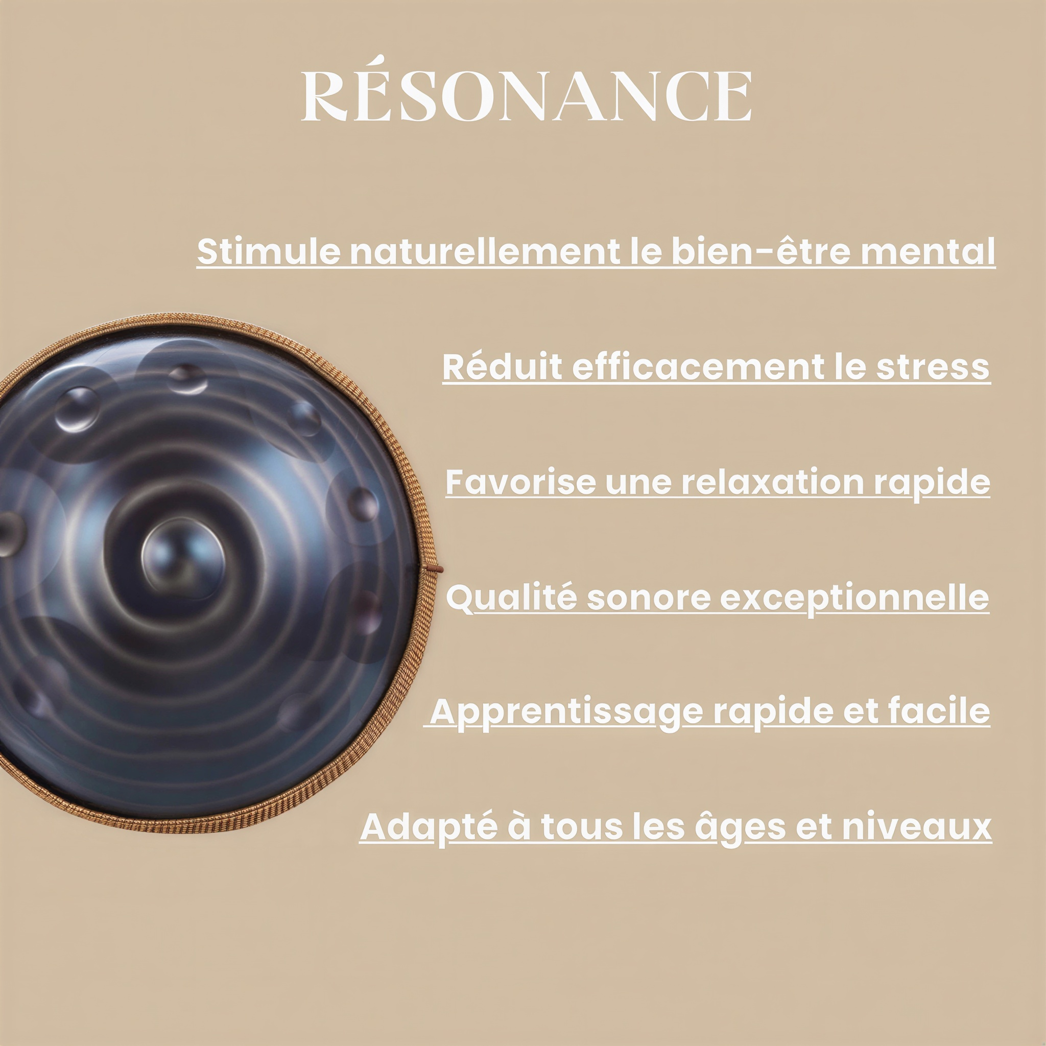 Handpan Ré mineur 9, 10 et 12 notes